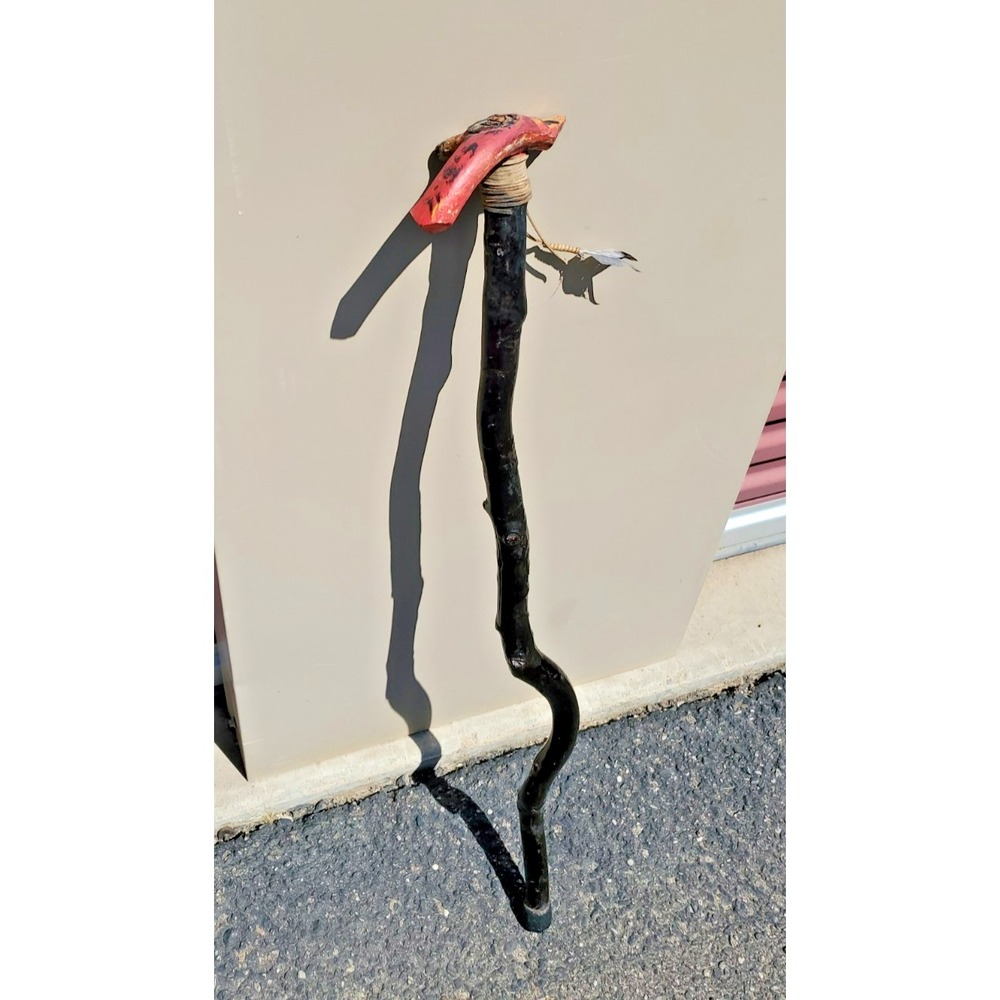 Natural Wood Cane hiking walking stick Crook Handle 37 in Crooked Alder wood?